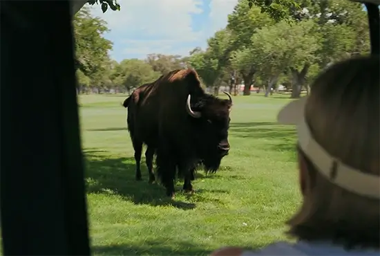 Одна из многих. Разрыв